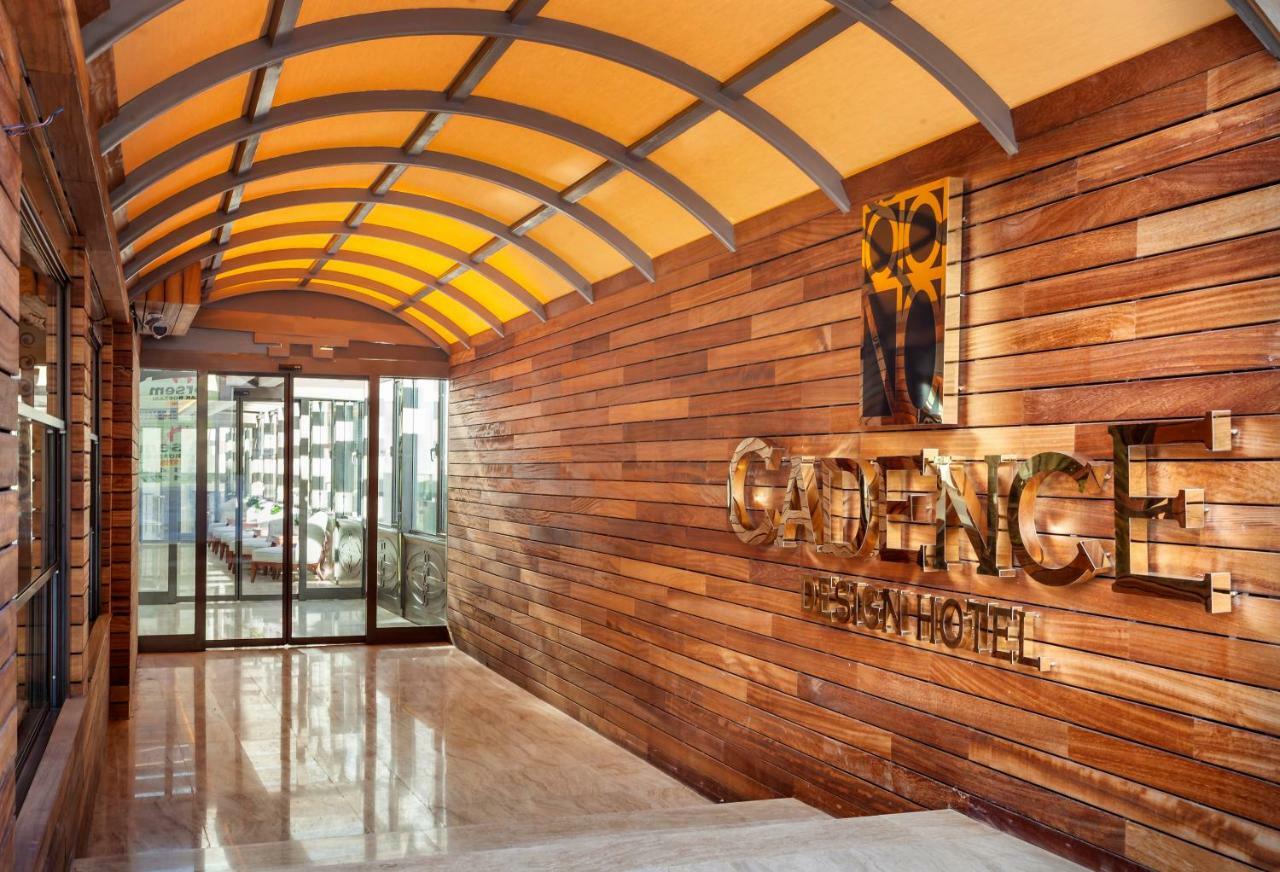 Cadence Design Hotel Ankara Exteriér fotografie